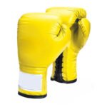 Elite Training Leather Boxing Gloves