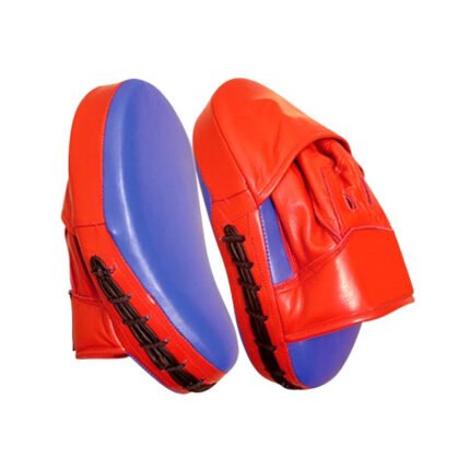 Premium Leather Focus Pads for Boxing Training