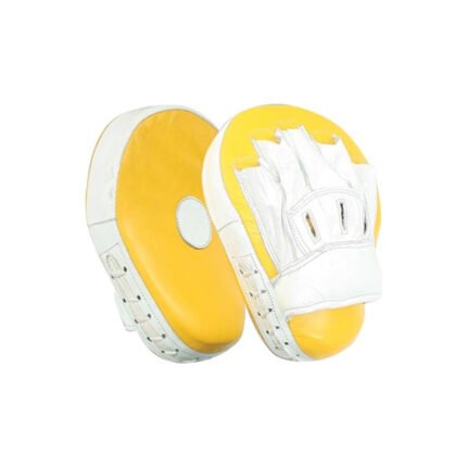 Professional Focus Mitts for MMA Sparring