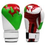 Professional Cowhide Sparring Gloves